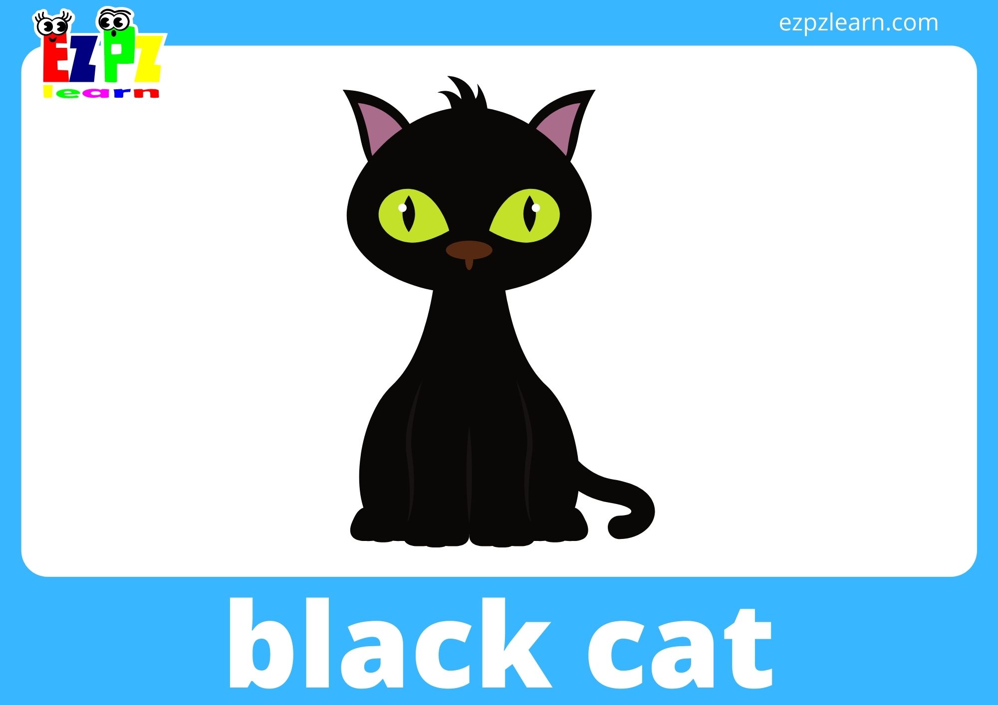 black cat